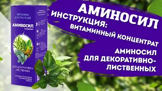 Инструкция к применению витаминного концентрата АМИНОСИЛ для декоративно-лиственных растений