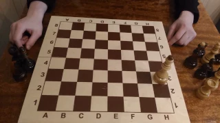 Шахматы. Урок 3 для начинающих. Ход шахматным слоном, ход ферзя. Легкие и тяжелые фигуры