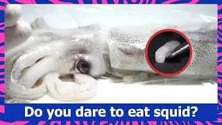 Do you dare to eat squid? They have parasites all over the body!