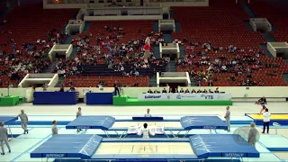 SAKAI Ryosuke (JPN) - 2018 Trampoline Worlds, St. Petersburg (RUS) - Qualification Trampoline R2