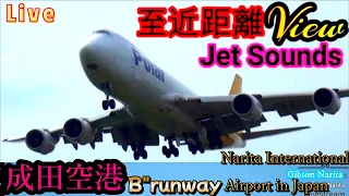 ✈️〰️成田空港📸生中継 Narita International Airport 🛫Live【Gibson Narita】