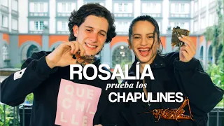 Cocine con ROSALÍA Quesadillas Mexicanas | Robegrill