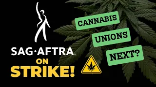 SAG-AFTRA STRIKES! 🪧 Are Cannabis unions next?
