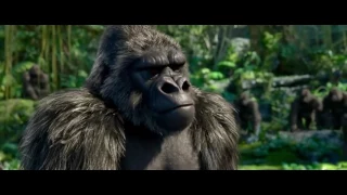 Tarzan A Evolução da Lenda Filme Completo-HD