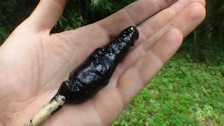 Making Pine Sap Glue (HD)