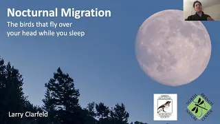 Nocturnal Migration with Larry Clarfeld