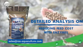 How to Save Feed Cost with ENZYME Technology | Aquaculture Chemistry