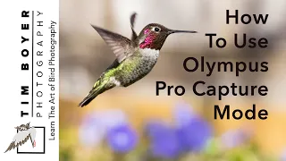 How to Use Olympus Pro Capture Mode