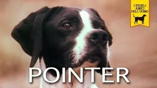 POINTER trailer documentary