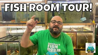 Come See My Fish Room Tour!