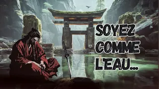 Philosophie de l'Eau, Naviguer la Vie avec Sagesse (Lao Tseu, Miyamoto Musashi, Bruce Lee)