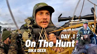 Stalking Scottish Sika Deer , Deer management DAY 1