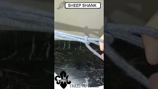 SHEEP SHANK