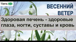 Здоровье печени. Функции, профилактика, продукт.