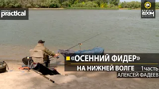 Осенний фидер на нижней Волге. Алексей Фадеев. 1 часть. Anglers Practical