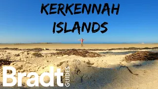 Tunisia's Kerkennah Islands (îles Kerkennah, Sfax) - hidden island paradise with Bradt Travel Guides