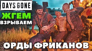 ✅Days Gone(Жизнь После) - РЕКОРД ОКРУЖЕНИЕ! Жгем! Взрываем ОРДЫ Фриканов! Выживание 2!