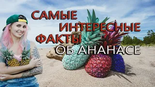 Самые интересные факты об ананасе. Good History.