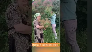 ЛАМАЄМО З МАМОЮ МАЙ🌿 (архів)