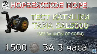 🌟ТЕСТ КАТУШКИ ТАМА SAL5000🌟НОРВЕЖСКОЕ МОРЕ🌟1500 МОНЕТ ЗА 3 ЧАСА🌟Русская Рыбалка 4 (РР4)🌟