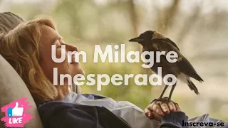 Um Milagre inesperado / filme completo dublado .#filmes #filmecompleto #filmes2020