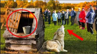 Un lobo ronco llamó a la gente al pozo. Cuando llegaron, ¡todos quedaron helados de la sorpresa!