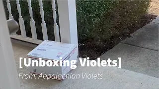 African Violets- Unboxing my Appalachian Violets order