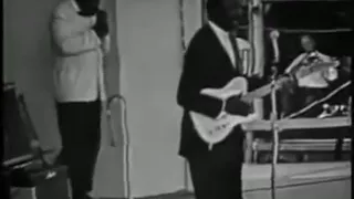 Muddy Waters hoochie coochie man Newport 1960