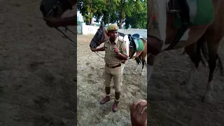 Horse riding training in Police line LKO