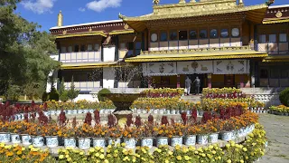 Preserving culture: Palaces in Norbulingka re-gilded for first time since 18th century