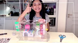 DIY Acrylic Cage for Hamster