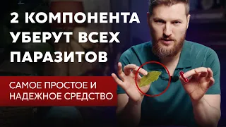 2 компонента уберут ВСЕХ ПАРАЗИТОВ