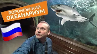 Подводный мир без поездки к морю! 🐚 Посетил Воронежский океанариум — единственный в Черноземье 🐬