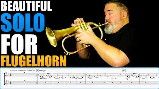 GORGEOUS FLUGELHORN SOLO/DUET "Broken Pieces" by Iain Mundy & Matonizz. Sheet Music Play Along!