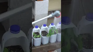 Upcycle Plastic Milk Bottles to Grow Fruit & Veg at Home & Reducing Waste #EarthDay #YouTubePartner