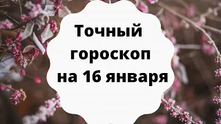 Точный гороскоп на 16 января. Для каждого знака.