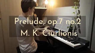 Prelude, op.7 no.2  |  M. K. Čiurlionis