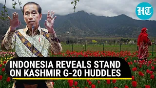 Indonesia to skip G-20 huddles in Kashmir? Jakarta envoy to India 'waiting for instruction' | Report