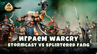 Играем | Warcry | Stormcast vs Splintered Fang