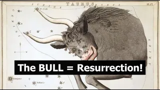 The BULL = Resurrection!