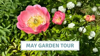 May Garden Tour, Flowering Perennials + Shrubs, English Country Garden // Cottoverdi