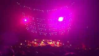 Phish Dicks - 9/5/2021 - Meatstick