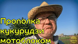 Як обробляти кукурудзу мотоблоком моторсіч.