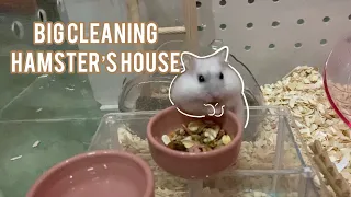 Big cleaning | ทำความสะอาดกรงแฮมเตอร์ 🐹