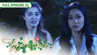 [ENG SUB] Ep 35 | Wildflower |  Maja Salvador, Tirso Cruz III, Aiko Melendez