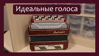 Трудовые будни / Ремонт Баяна "Кировский-3"