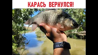 ХЕРАБУНА!     КАРАСЬ ВЕРНУЛСЯ!!!!!! -  へら