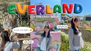 🎢 호랑이 보러 에버랜드 오픈런 VLOGㅣ평일 에버랜드, 스마트줄서기, 산리오, 페어리타운, 사파리월드, 애니멀톡, 티익스프레스, 퍼레이드, 불꽃놀이