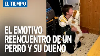 Emotivo reencuentro de un perro y su dueño luego de cuatro meses