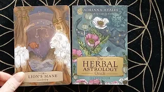 The Herbal Astrology Oracle flip through